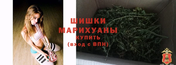 индика Зерноград