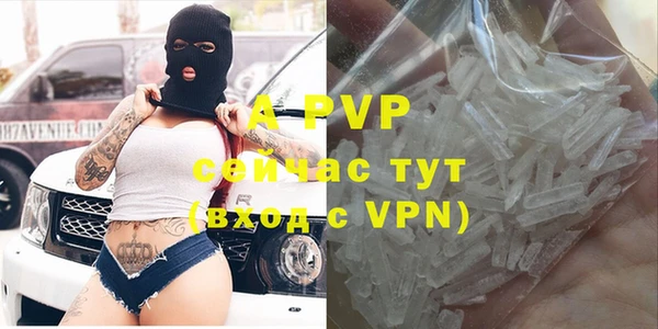 крисы Зеленокумск