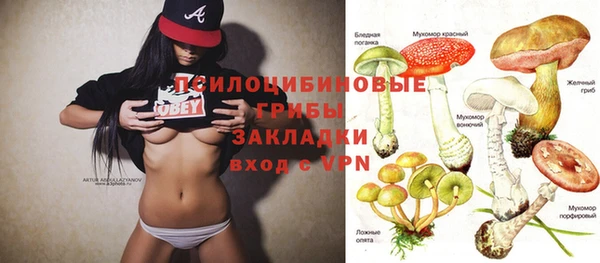 крисы Зеленокумск