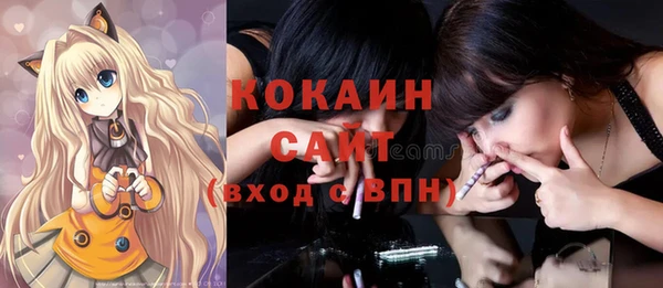 индика Зерноград