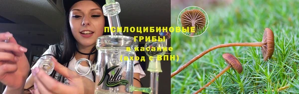 индика Зерноград